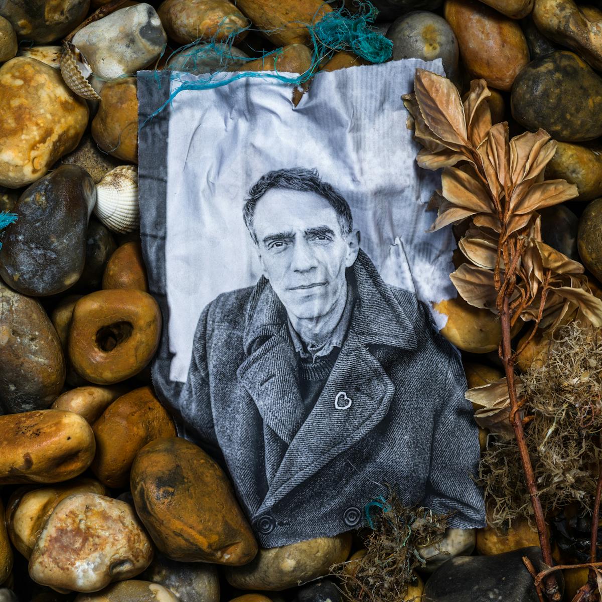 Photograph of a shingle beach made up of pebbles of all different sizes and shapes with a mix of brown and yellow hues. Nestled in the pebbles is a black and white photographic print, soaked in sea water such that it has taken on the shape of the stones beneath. Staring out from the print is the gentle face of Derek Jarman, looking intensely to camera. He wears a think woollen coat with a small silver heart broach pinned to the lapel. Surrounding the print on the stones are sea shells, sprigs of beachfront vegetation and the frayed blue nylon threads of fishing nets.