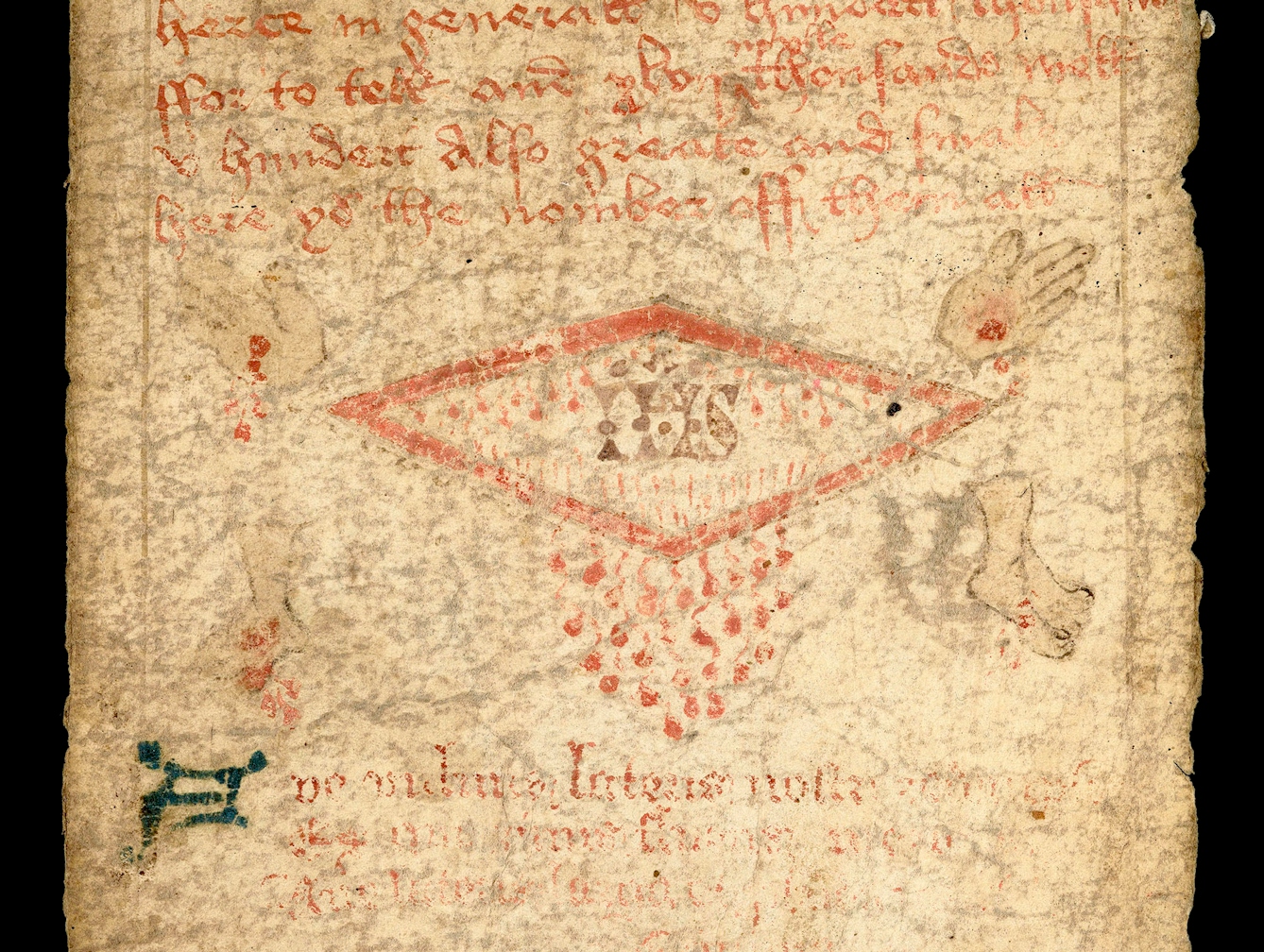 Section of a medieval parchment scroll showing a flattened diamond shape with drops of blood falling from the bottom apex. Outside the diamon in each corner Christ's stigmata on the hands and feet of are drawn. Inside the diamond are more drops fo blood and the letters IHS.
