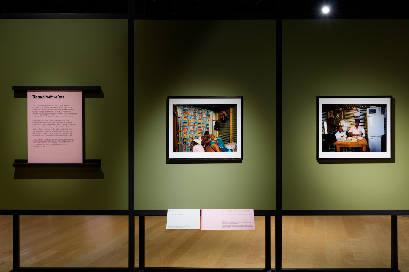 Photograph of a sage green freestanding gallery wall on which 2 colour photographs are hung in back frames. To the left is an information text panel. 