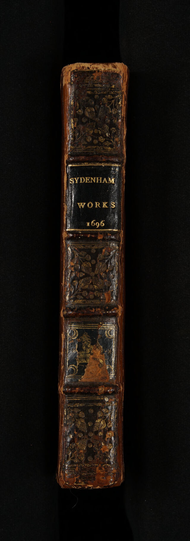 digitised image 2