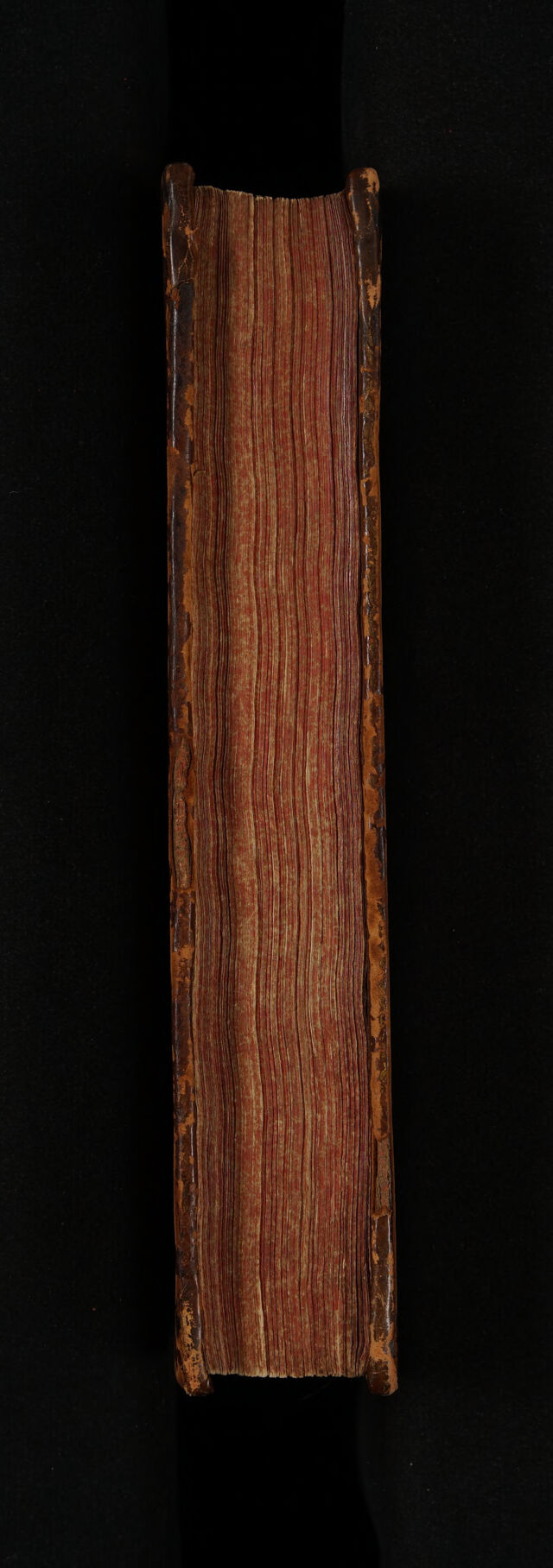 digitised image 3