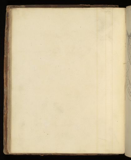 Emily M. Madden's cat Mouton. Drawings by Emily M. Madden, 1856-1859.