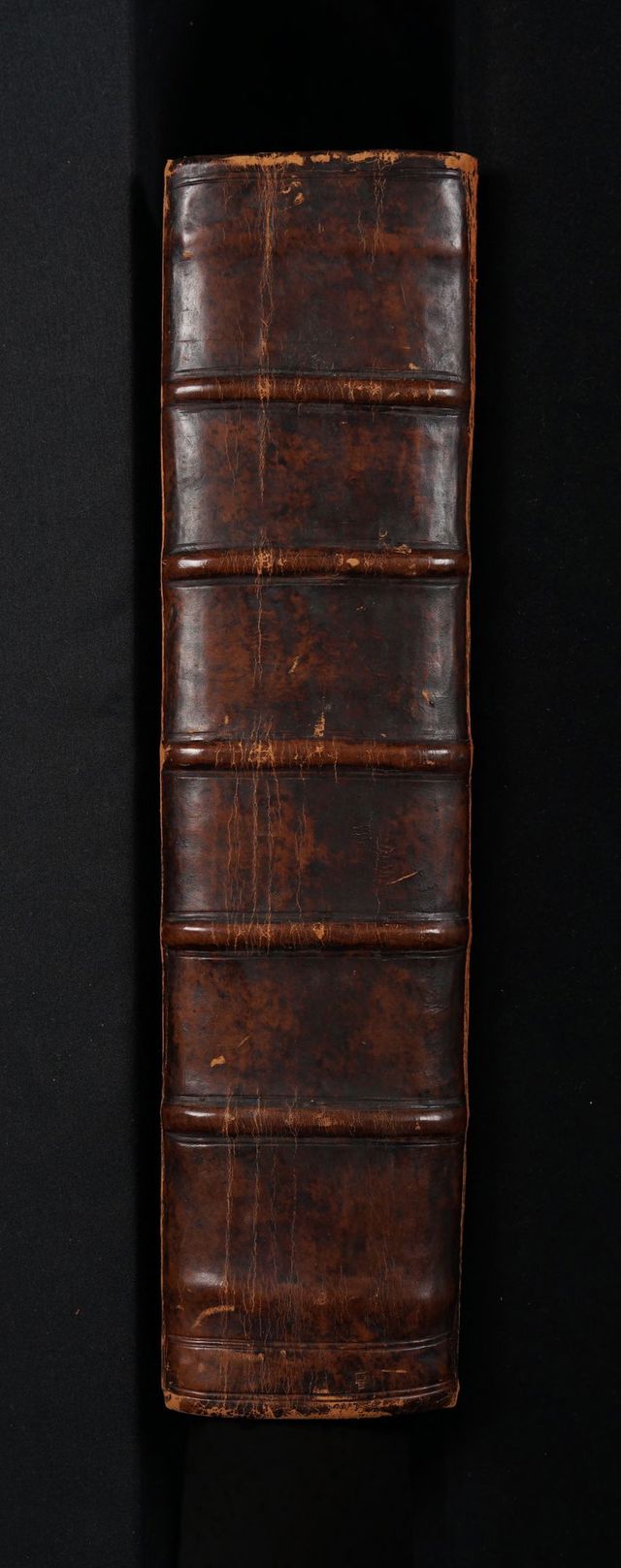 digitised image 2