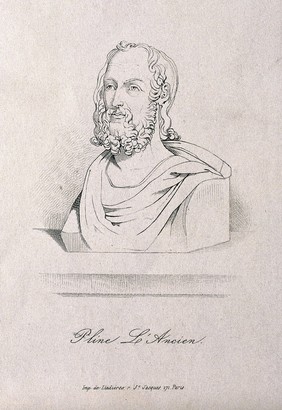 Caius Plinius Secundus. Line engraving.