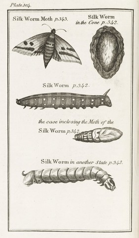 Buffon's Natural history, abridged. Including the history of the elements, the earth, mountains, rivers, seas, winds, whirlwinds, waterspouts, volcanoes, earthquakes, man, quadrupeds, birds, fishes, shell-fish, lizards, serpents, insects, and vegetables / [George Louis Leclerc Buffon].