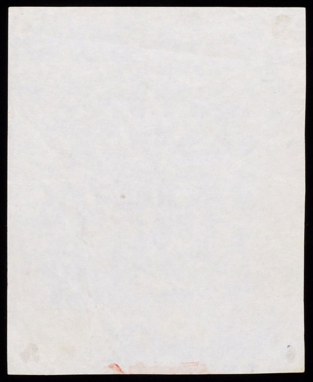 digitised image 2