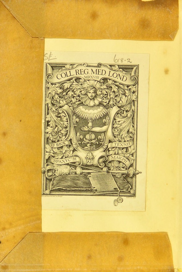 digitised image 2