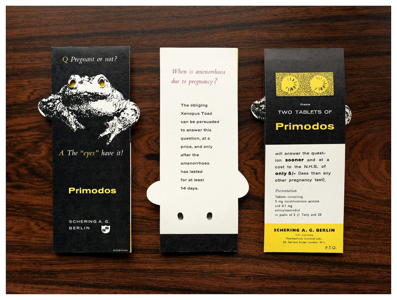 Photograph of a promotional folding leaflet for Primodos. The front, back and inside are show side-by-side on a dark wooden tabletop. The front cover shows an illustration of a frog with cutout eyes showing the yellow colour of the page beneath. The cover says, "Q Pregnant or not? A The 'eyes' have it! Primodos, Schering A.G. Berlin. The back cover reads "When is amenorrhoea due to pregnancy? The obliging Xenopus Toad can be persuaded to answer this question, and only after the amenorrhoea has l