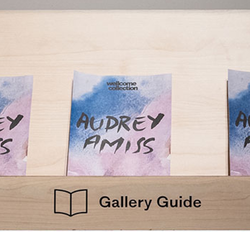 A display of access guides for the exhibition 'Audrey Amiss: the surviving exhibitions' at Wellcome Collection.