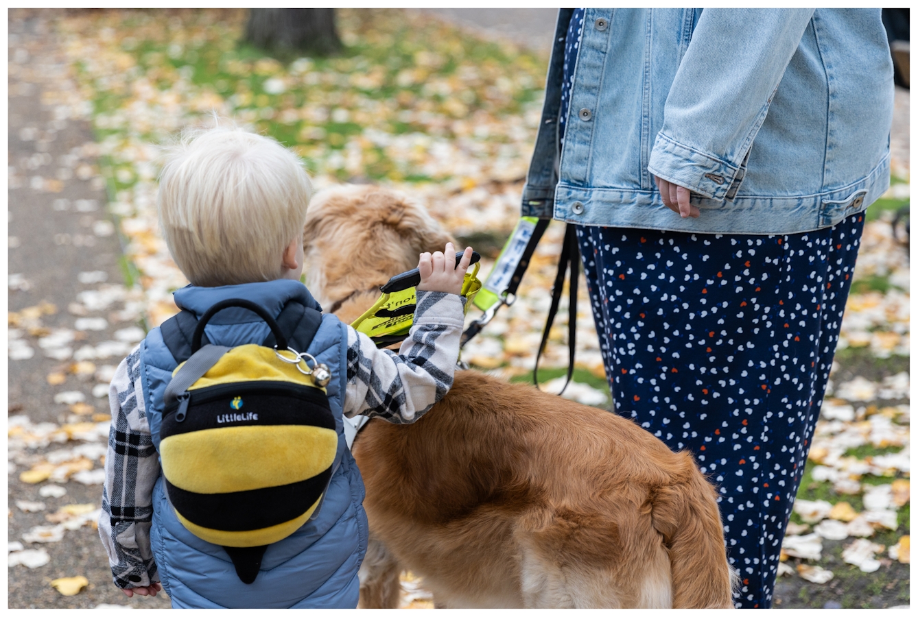 Photograph of Amy and her young child in the park, stood either side of her guide dog. In a reversal of roles, Amy's child takes control of the dog's harness.