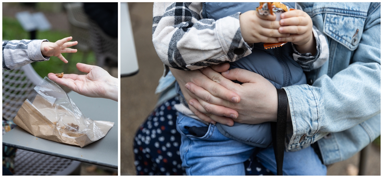 Photographic diptych. On the left a close-up shows Amy's open hand, with a morsel of cake on it. From the right side of the image frame the small hand of her child reaches in to grab it, fingers outstretched. On the right the image shows Amy's arms wrapped around the waist of her child as they sit on her lap eating a cereal bar. Loosely hanging from Amy's left wrist is the black lead of her guide dog.