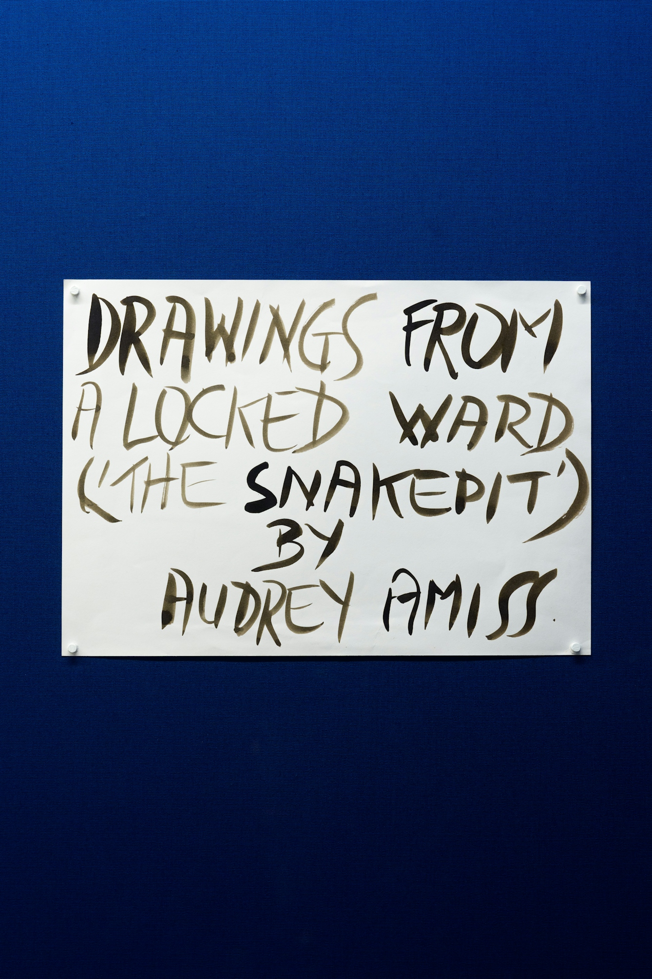A poster for Audrey Amiss’s 2002 exhibition, with the words "Drawings from a Locked Ward ('The Snakepit') by Audrey Amiss" painted in black, in the style of her ‘graffiti’ signs. 